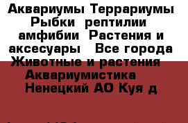 Аквариумы.Террариумы.Рыбки, рептилии, амфибии. Растения и аксесуары - Все города Животные и растения » Аквариумистика   . Ненецкий АО,Куя д.